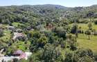 Teren Intravilan 8.277 mp Provița de Jos – Utilități, Râu & Pădure - 8