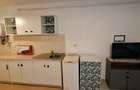 Apartament 1 camera str Clinicilor