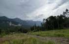 Teren intravilan, 1000 mp, proiect duplex P+E, zona Sinaia - Zamora - 18