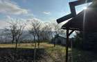 Vand Casa Platou, str. CORNESTI- teren 1150 mp - 8