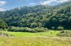 Teren extravilan 60 ari in Ro?ia, Bihor Langa parau, ideal pentru glamping, cabane sau ferma - 4