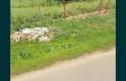 vand teren intravilan curcani calarasi 4464 mp - 4