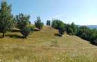Vand teren Tarsa, Bosorod - 1