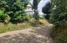 Teren intabulat intravilan (acte la zi) 1948 mp Poiana , com.Braesti - 4