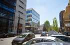 Spatiu comercial de inchiriat in Romanitza Office Building - 5