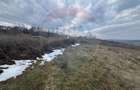 Teren intravilan Dumbraveni / Strada Principala - Dumbraveni (Vrancea)