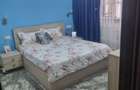 Apartament confort 1 parter - 8