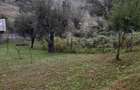Casa cu 4 dormitoare si teren de 2.000 mp in Aricestii Zeletin