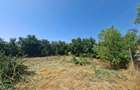 Casă cu Teren 1850 Mp în Colceag - 2