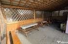 Spatiu Comercial cu terase si Hale de in Frasin Suceava 072 - 12