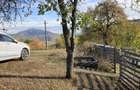Un col? de rai in Apuseni: 2 case ?i peste 1 hectar de teren!