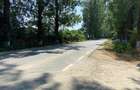 Teren intravilan 17 m deschidere Lac Silistea Snagovului 5000mp - 9