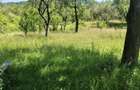Vand teren, 4285 mp comuna Runcu jud Dambovita - 8