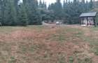 Teren intravilan superb Toplita pe str. Murelor ptr investitie sau ptr.locuinta - 7