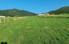 Teren extravilan de vanzare la munte, 5000 m.Marajdie Gura Raului. - 4