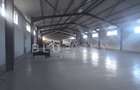 Hală industrială 700 mp – Zona Palas, Constanța