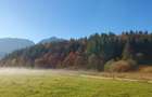 Teren 2.000 mp Zarnesti | PUZ 2 case vacanta | Piatra Craiului - 5