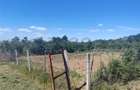 RECO Teren intravilan Paleu - 2