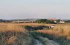 Teren 5000 mp Rovine 2(Troaca) - 1