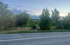 Teren intravilan de inchiriat in Mogosesti-Santa, Iasi ideal pentru diverse activitati - 1