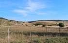 Teren de 2000 mp, în Petelea - 2