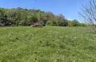 Teren intravilan 1400 m2 in Curteni, Santana de Mure? - la doar 10 minute de centrul Targu Mures - 4