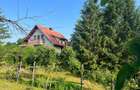 Casa de vanzare, in Dobrogostea, la 5 km de Pitesti - 12