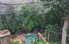 Casa Deosebita pe Structura de Lemn Domne?ti Zona ?eghe? | padure - 12