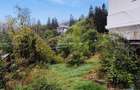 Sinaia / Peles - Vila D+P+M - 10 Camere - 260 mp utili - 700 mp teren - 18