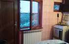 Vand casa ideala pentru locuit cat ?i pentru afaceri, in Dr Tr Severin. - 3