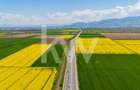 Teren 10.600 mp în Codlea – ideal pentru investiție industrială - 3
