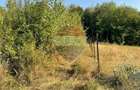 Oportunitate de investiție - 2.034 mp în Viștișoara (Țara Făgărașului)