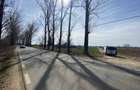 Teren intravilan | 5000 mp | Snagov