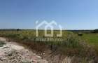 5.800 mp | Front 30 m | 20EUR/mp | Jucu de Mijloc - 3
