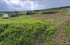 Vand teren intravilan 2500 mp, Chi?orani, Prahova - 2