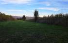 Teren montan intravilan 1815 mp, plat, belvedere Maneciu, aproape de Cheia, Prahova - 6