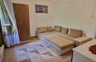 Inchiriere apartament 1 camera Nae Leonard - 3