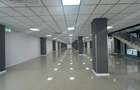 Exclusiv Spa?iu Comercial Premium 3600mp Ultracentral Olteni?a - CladireTip Mall - 5