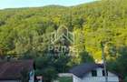Teren intravilan 1240 mp | UTILITATI | Fa?a Pietrii | aproape Transapuseana | - 6