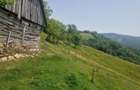 Teren intravilan de vanzare, 26.000 mp, Bulz, Bihor,Gaminvest,V4693 - 2