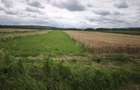 Teren extravilan, 6200 mp, 32 ml, deschidere la DN 2H, Galan - Galanesti (Suceava)