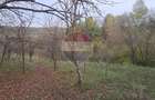 Teren intravilan 3500mp | Cotofenesti, Prahova - 8