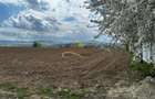 De vanzare doua loturi de teren in Fantanele-Bacau - 5