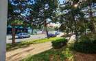 Spațiu comercial de vânzare - 51 mp, vitrină stradală Calea Severinul - 11