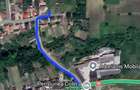 Casa din lemn + 29 de arii teren intravilan