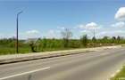 INCHIRIEZ teren Snagov - 6