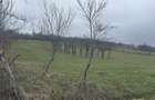 Vand teren comuna ocnita sat ocnita