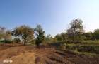 Teren 2041 mp deschidere lac Grivita 20 m - 7