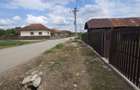 Casa cu teren 5436 mp Tismana (Vanata), utilita?i, acte la zi - 9