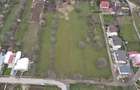 Teren de vanzare 10.000 mp Campina, zona Voila (Strada Dealului) - 2